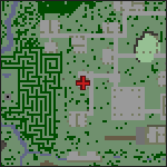 Map of Treetop 3 (Shop) in Ab'Dendriel